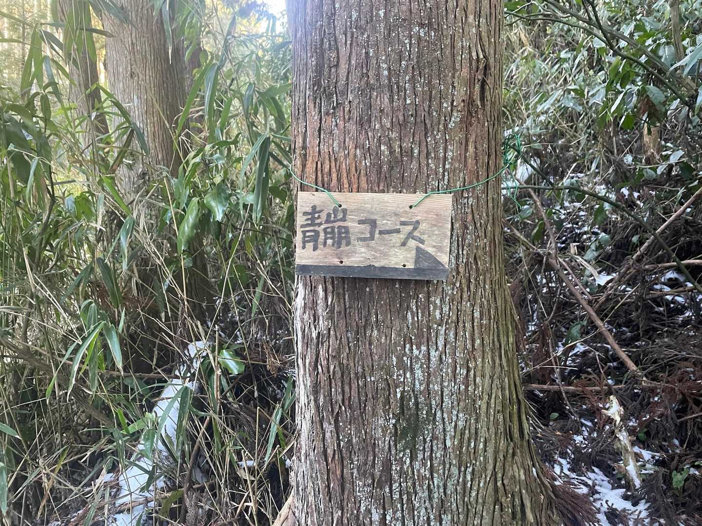下山完了😉