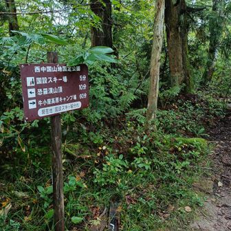 国設スキー場わかれの看板