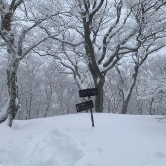 コヤマノ岳。しっかり、雪が付いて全体白い。
ガスがかかって曇り空で落ちるが少ない