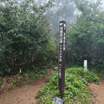 ここからがきつかったー
急坂の繰り返し😵