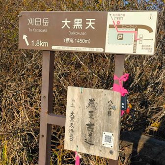 大黒天駐車場の登山口からスタート。