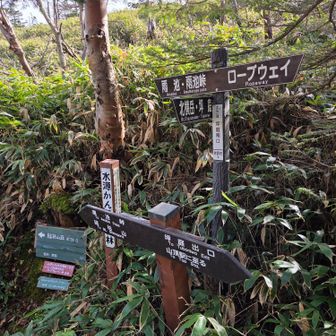 私だけ縞枯山莊に寄ってみます！