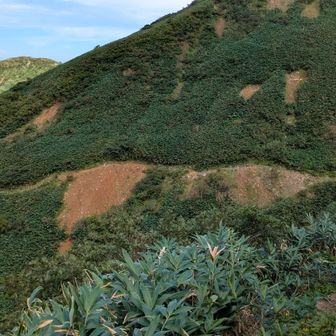 向かいから見ると。横切ってるのがルートと崩壊地
