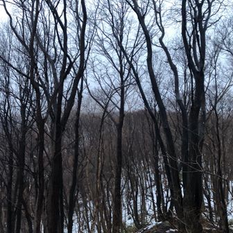 登山口の北側

三角山は見えませーん☁️
ホワイトクリスマス🎄

白い三角山でした。
ありがとうございました！