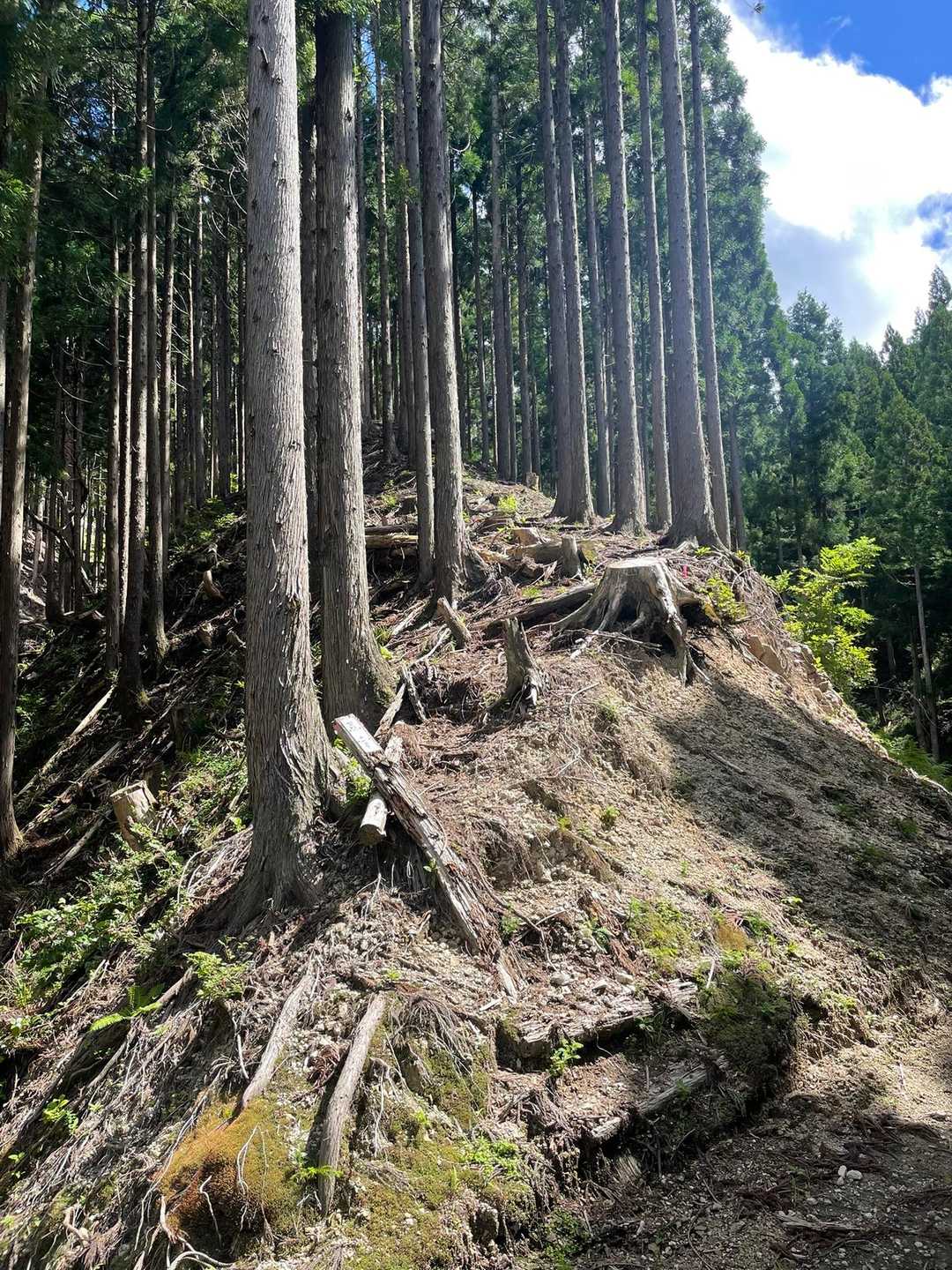 笠杉山登山口-笠杉山 往復コースの写真