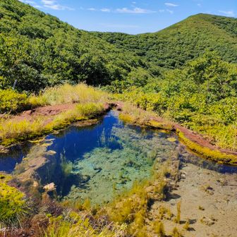 ちょっと寄り道
竜神の池
透明度が高く、ちょっとブルーな池