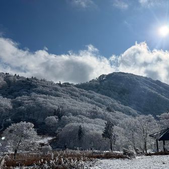 太陽さん、本当にありがとうございます！