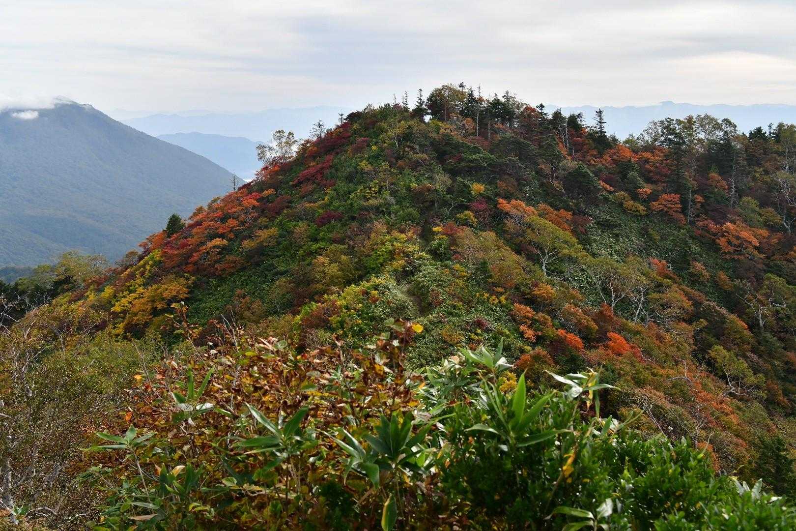 紅葉🍁綺麗です✨