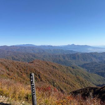 ここまで戻ってきた〜
