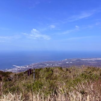 ここから伊豆半島の山々を見たかったなぁ〜。
元町港と大島空港