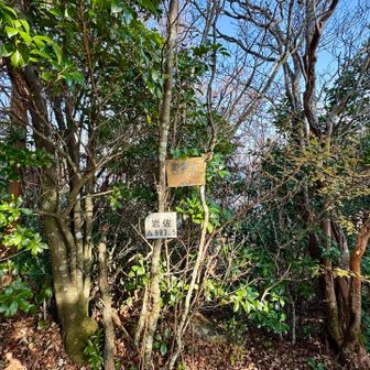 野根山到着！
登山口の標高とほぼ変わらないではないか😲