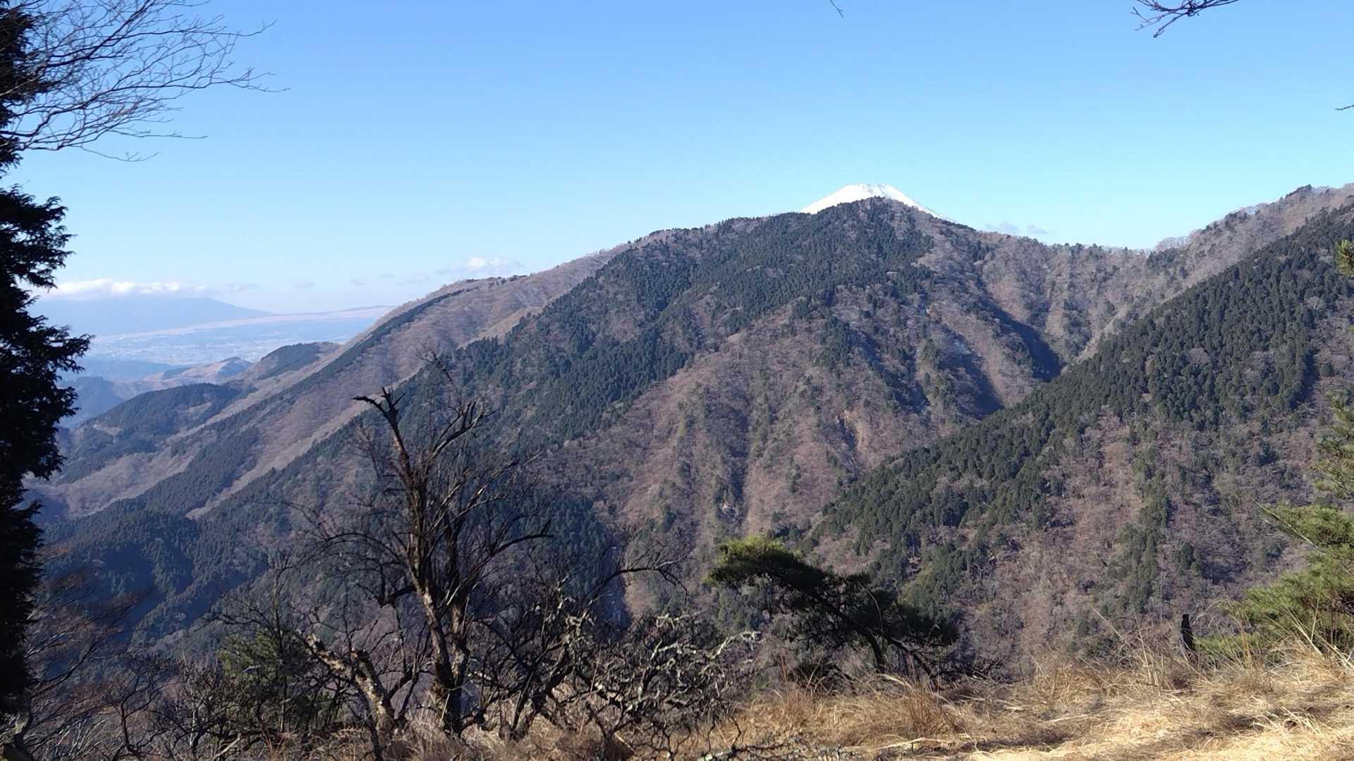 富士山の頭がちょっとだけ見えてます
標高上げてきてるのに、これしか見えないとは😆
でも大丈夫！山頂からは大きな富士山🗻が見えるはずです！