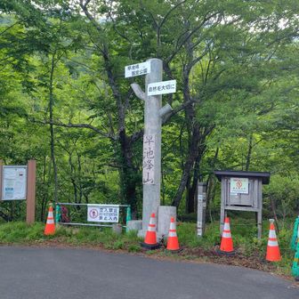昔々、叔母がまだ女子大生の頃、ここから山頂を目指したそうです