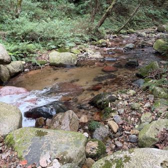 知っている住吉川と全然違う。ほんまこれぞ川