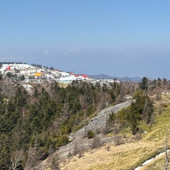 カラフルメルヘンたち♪