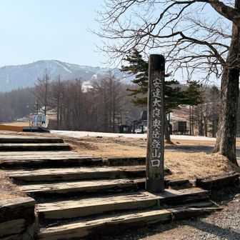 楽しい話ありがとうございました😊
下山完了🤗
森の工房でコーヒーのお誘いして頂きましたが夕方用事があってここでサヨナラでした👏🏻☺️✨
きっとまた会えるでしょう🍀.｡.:*