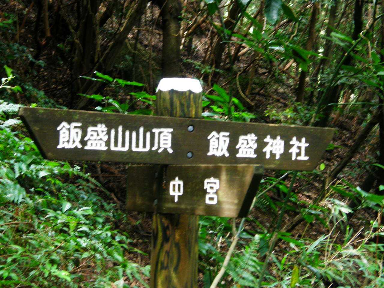 下りなのに階段を登って真ん中コースで帰ります。