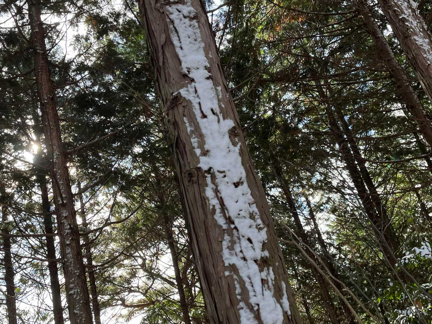 雪混じりの風が、吹き付けるんだろうね。