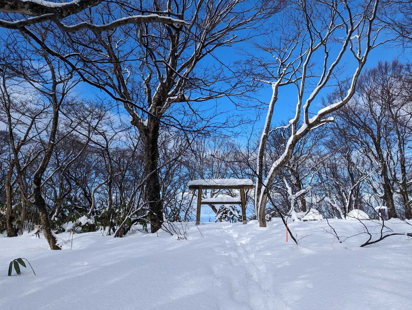 戸室山-医王山寺 周回コースの写真