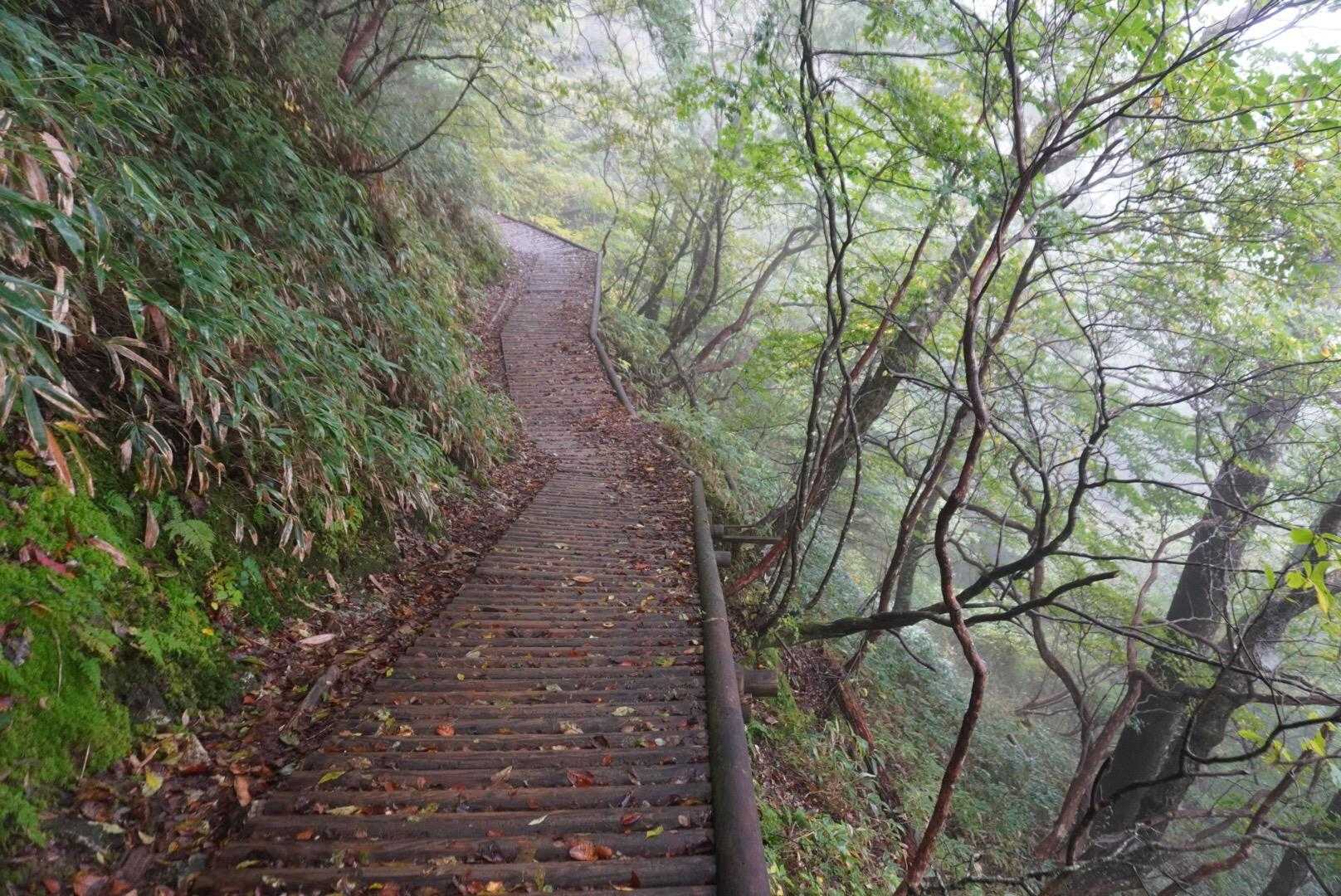 雨上がりでしっとり😌
