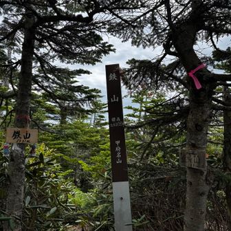 鉄山に登頂〜✨️
ここはちょっと
鬱蒼としていますね🌲🌲🌲