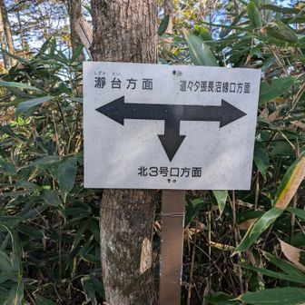 とある分岐から北３号口へ
