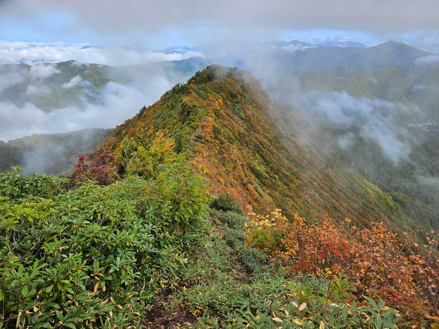 銀山平登山口-前山-前嵓下-前嵓-荒沢岳 往復コースの写真