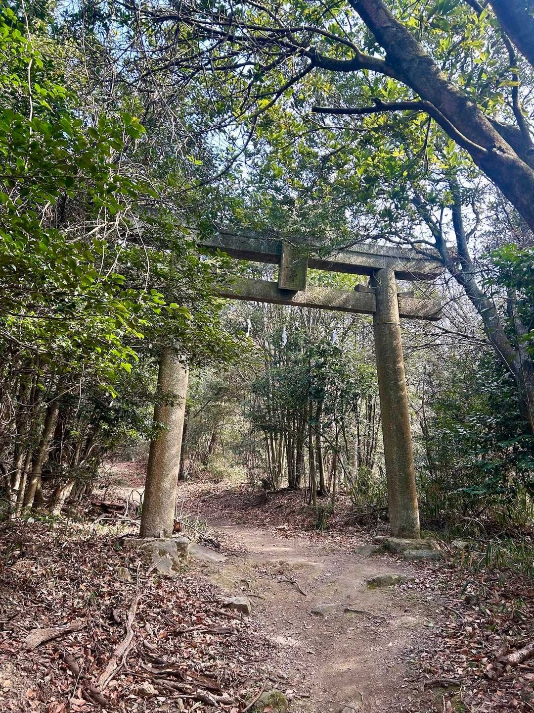 歩き進むと現れた立派な鳥居。