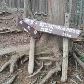 大倉山