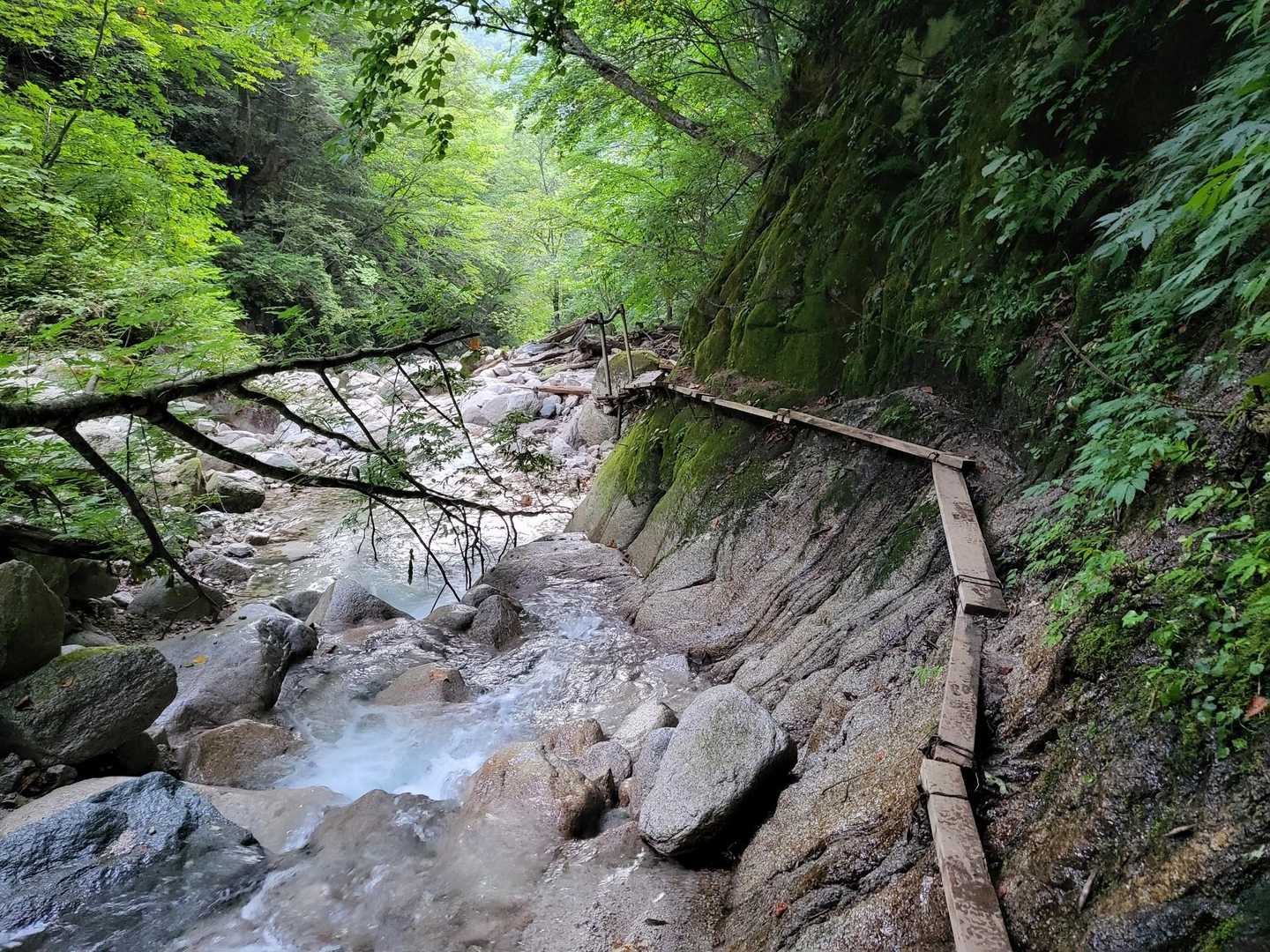こんな道が沢山ありました～笑