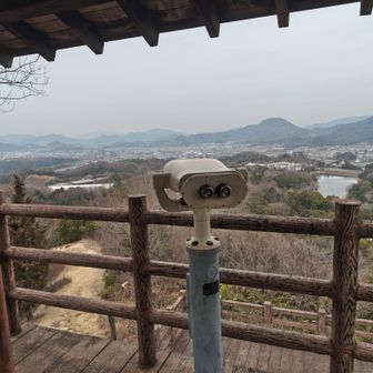 無料で使える望遠鏡が嬉しいですね