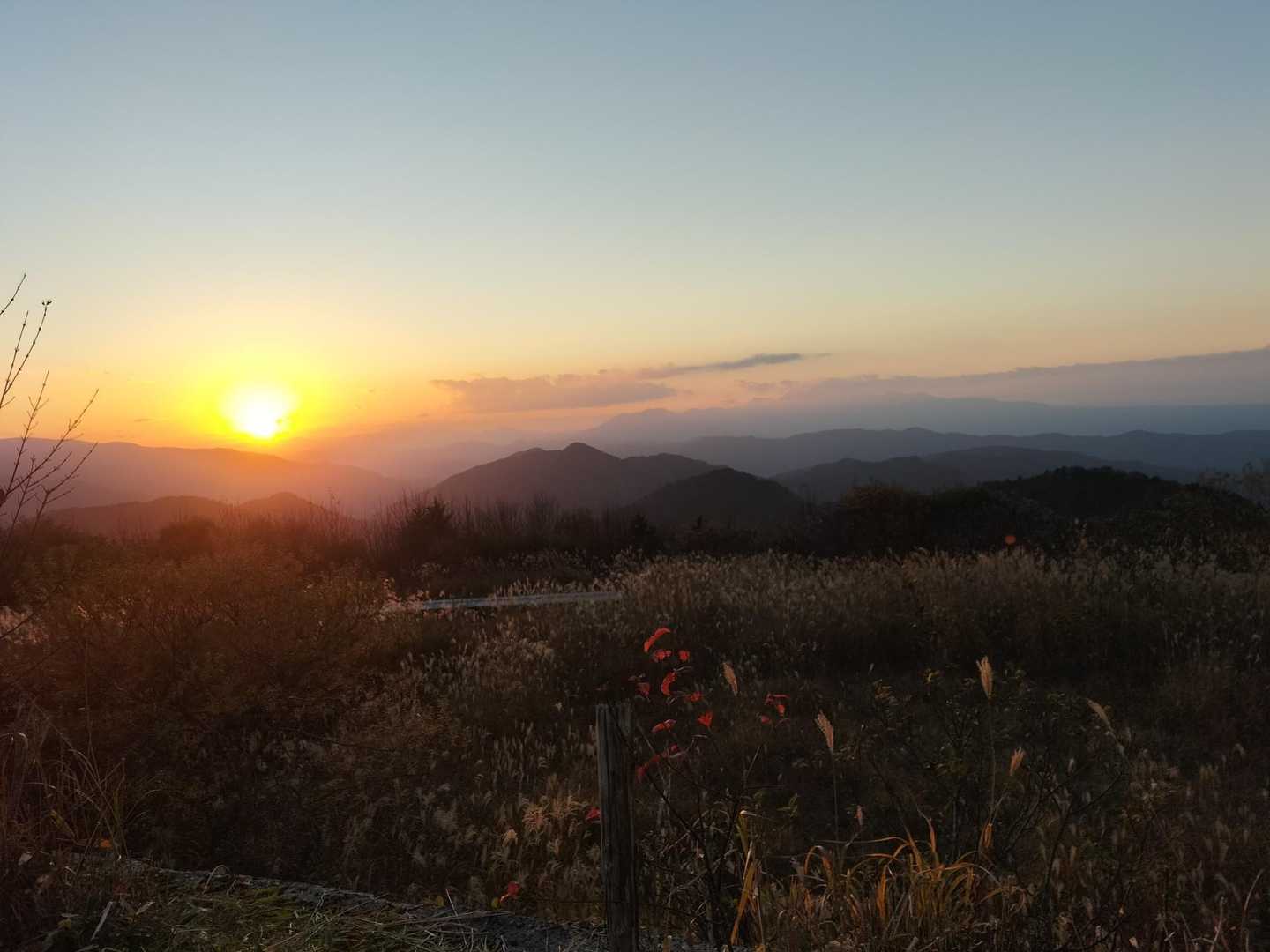 高清水トレイル登山口-大畝山-御林山-池川山 往復コースの写真