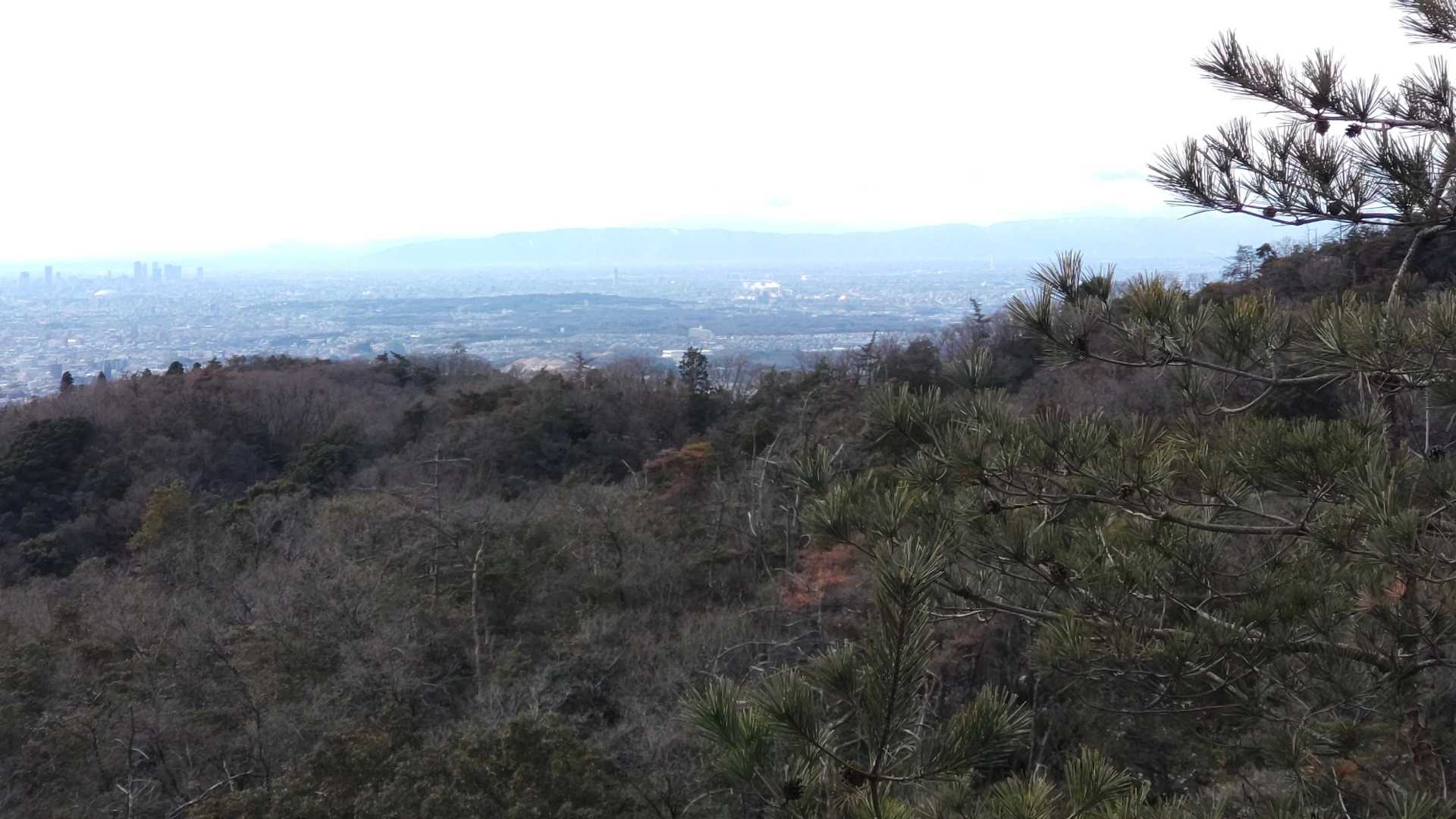 ☁でも
養老山地が見えた