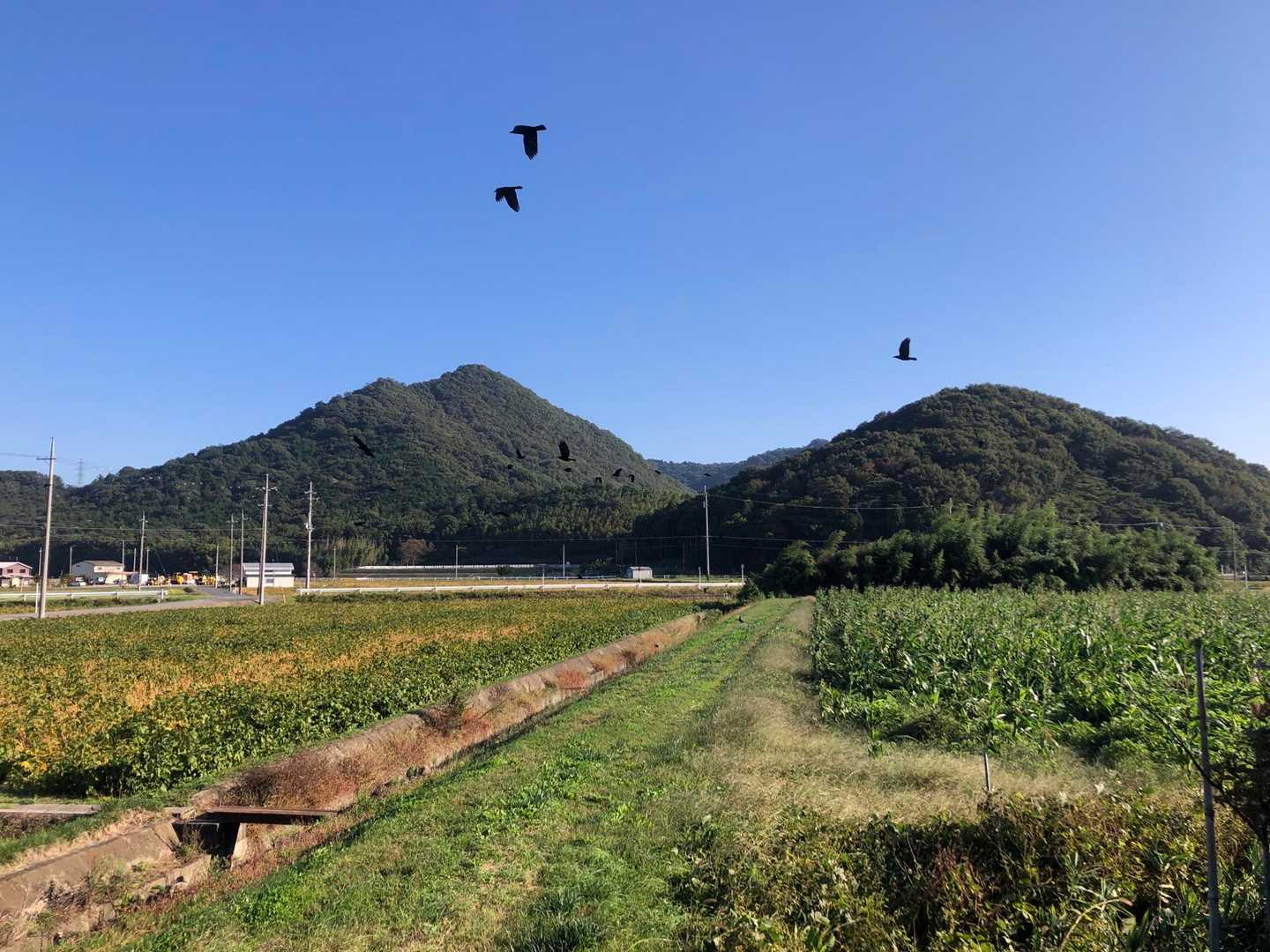 これから登る山二つ
カラスが多くて不気味😅