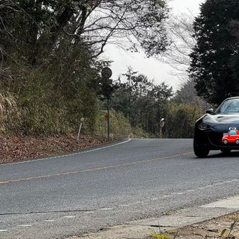 いい音させて元気に走っておりました。
どうせならエリーゼ撮りたかった。