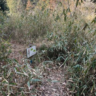 しょうけ越え手前