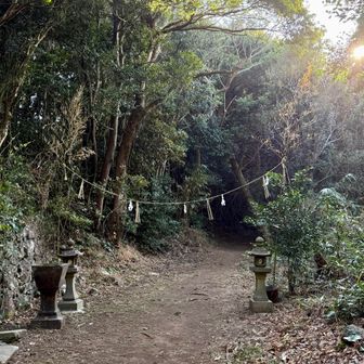 おじゃまします🙏