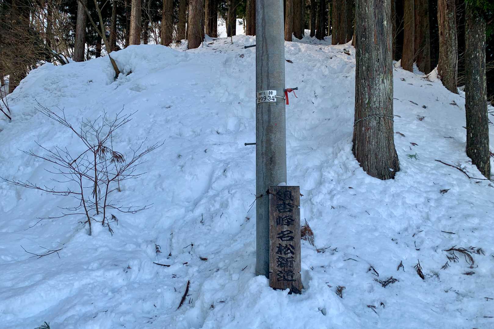 こっちね。