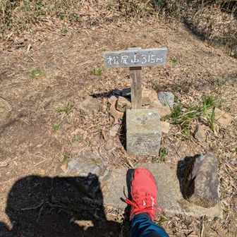 松尾山
ここから平郡駅までの道がひどすぎた。ガタガタ。足とられて難儀した。