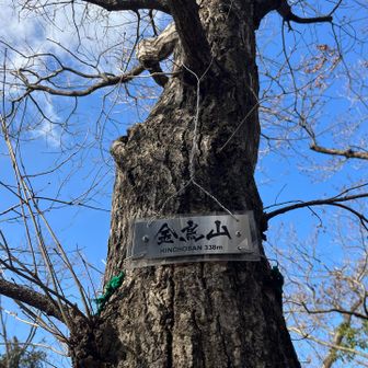 ６ピーク目
本日ラストでした😊