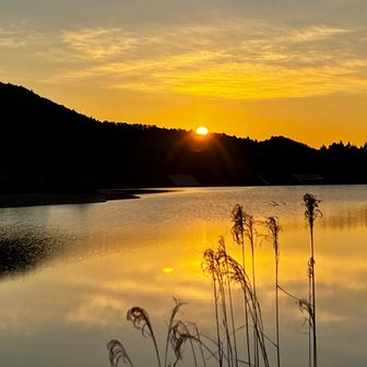 お天道様が出てきました