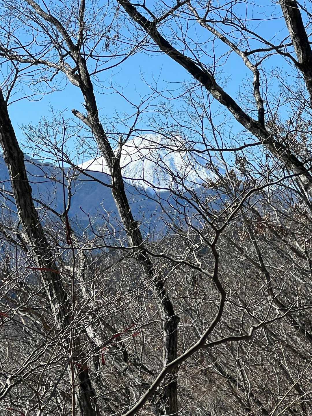 左手にお目当ての富士山🗻が❗️