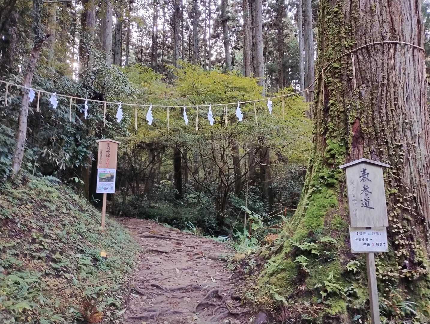 登りは表参道、下りは裏参道を歩きます