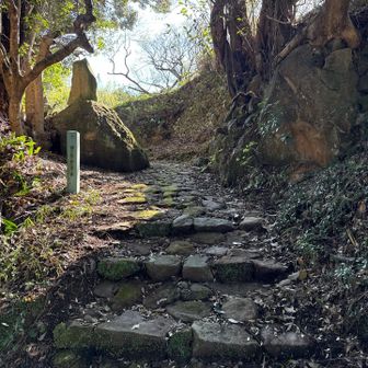 この辺りだけが石畳