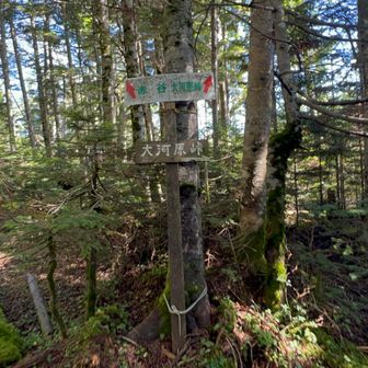 分岐。前掛山は左。