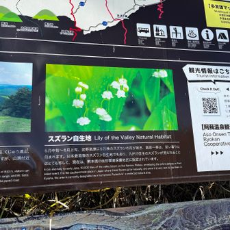 スズランの自生地みたいなので
その時期にまた行きたいなぁ！