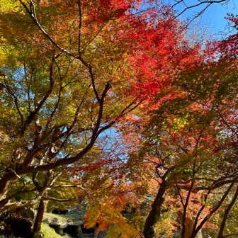最初の紅葉スポット