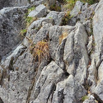 急登も多くなる⛰️