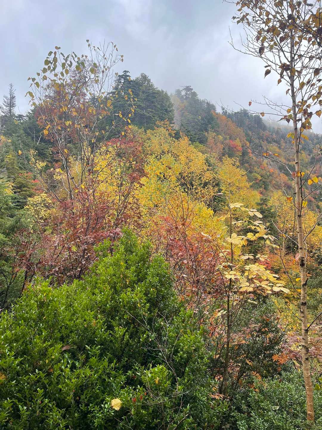 ワルサ峰-佐武流山 往復コースの写真
