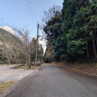 来年も 宜しくお願いします、有り難う御座いました m(_ _)m 。